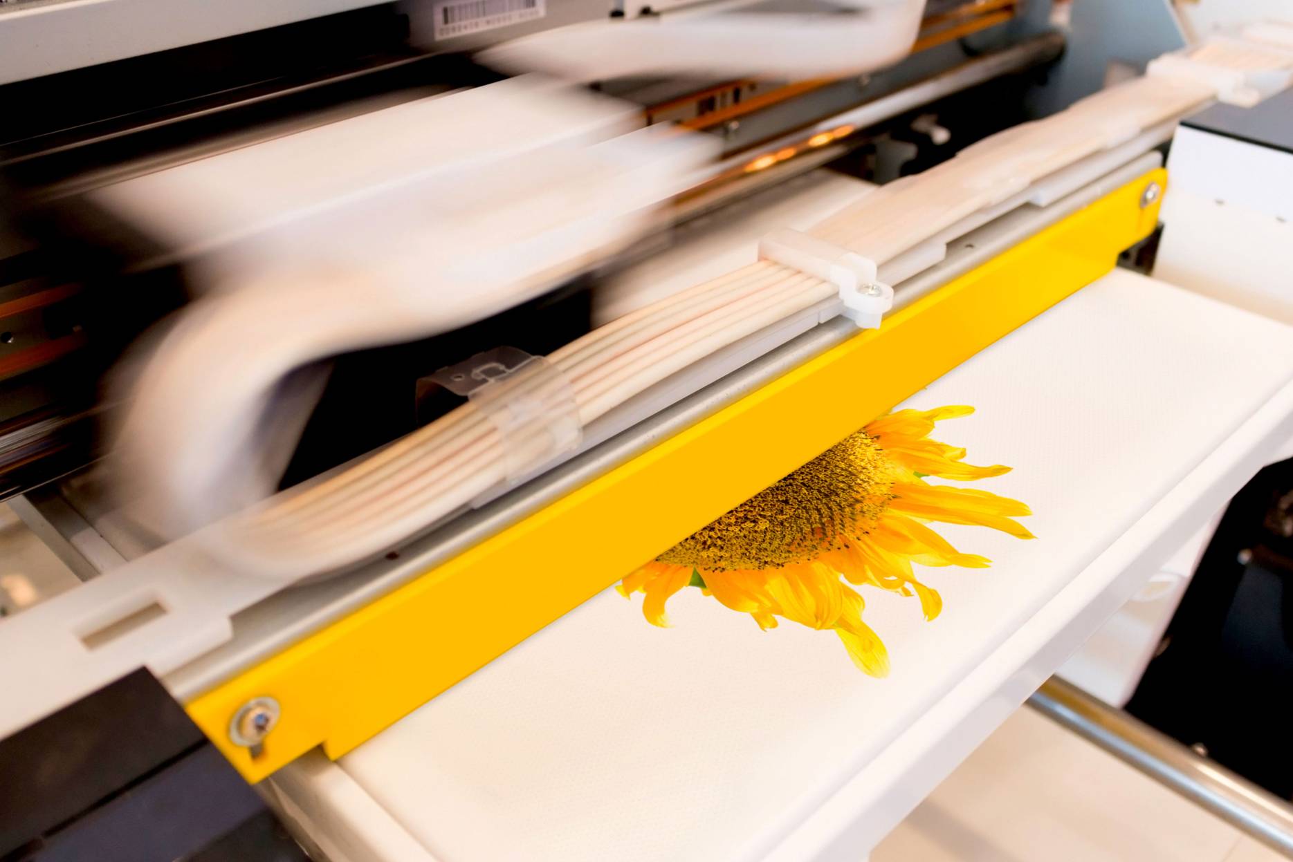Digital Printing